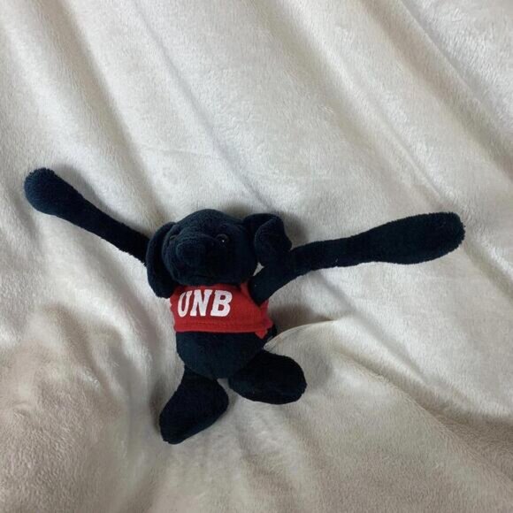 University Of New Brunswick UNB Pully Pals Stuffed Black Dog Toy Fun Memorabilia - Picture 3 of 9